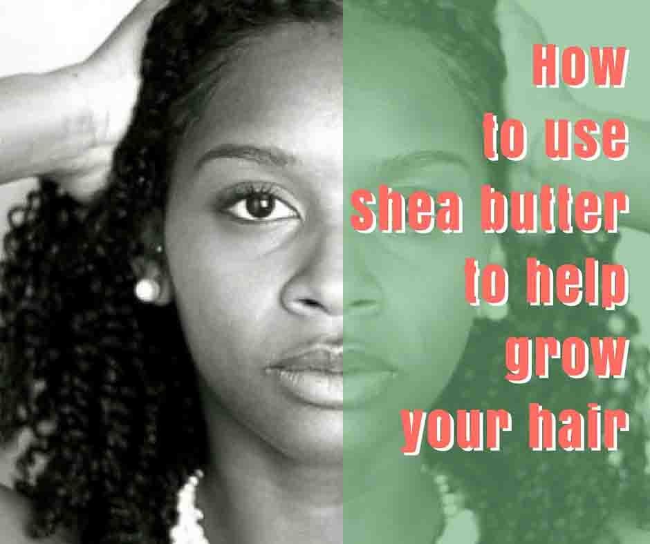 Shea Butter for Hair: What It Can and Can't Do