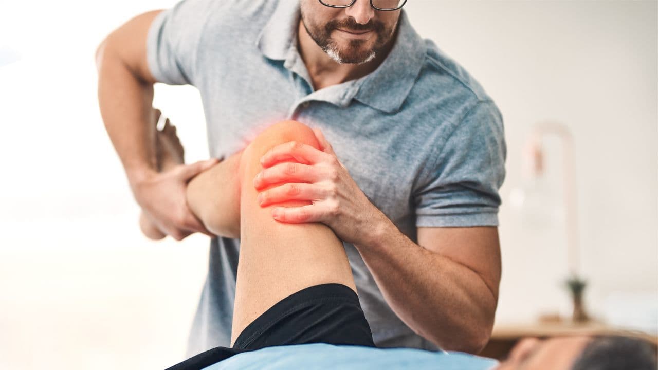 Physical Therapists